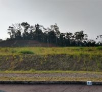 Loteamento Catarina de Alexandria