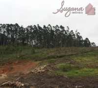 Terreno para Loteamento