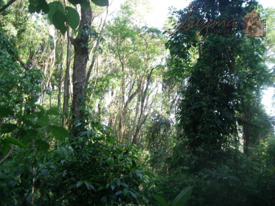 Terreno rural área verde