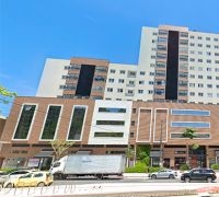 Apartamento - Icon Residence