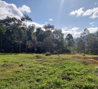 Terreno sem benfeitorias