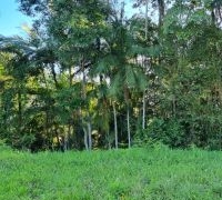 Terreno sem benfeitorias