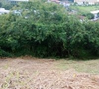 Terreno com 537,93m²