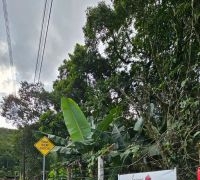 Terreno com 1.070m²