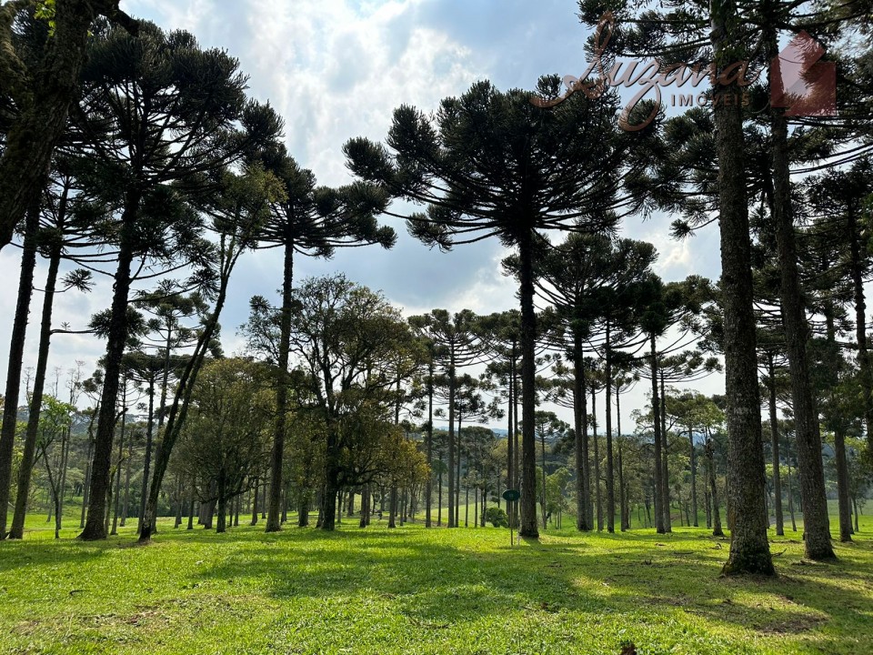 Terrenos - Condomínio Fazenda Araçá