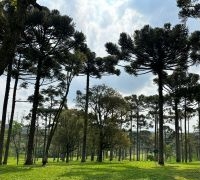 Terrenos - Condomínio Fazenda Araçá