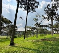 Terrenos - Condomínio Fazenda Araçá