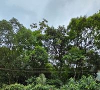 Terreno com 1.070m²