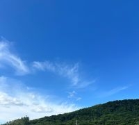 Terrenos - Loteamento Residencial Victoria