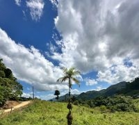 Terreno com 21.270m²