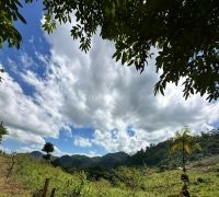 Terreno com 21.270m²