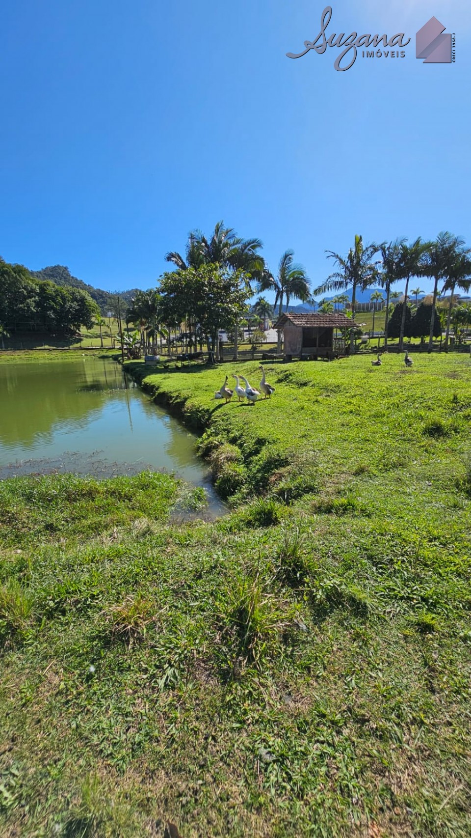 Terreno com 50.012,57m²