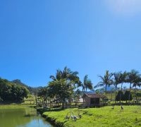 Terreno com 80.846,34m²