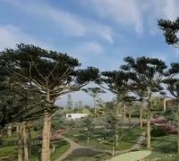 Terrenos - Condomínio Fazenda Araçá