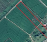 Terreno - Massaranduba