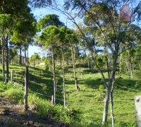 Terreno rural 20.000m²