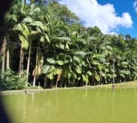 Chácara com 52.300,00m²