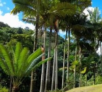 Chácara com 52.300,00m²