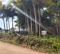 Terreno com 6.516,81m²