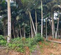 Terreno com 6.516,81m²